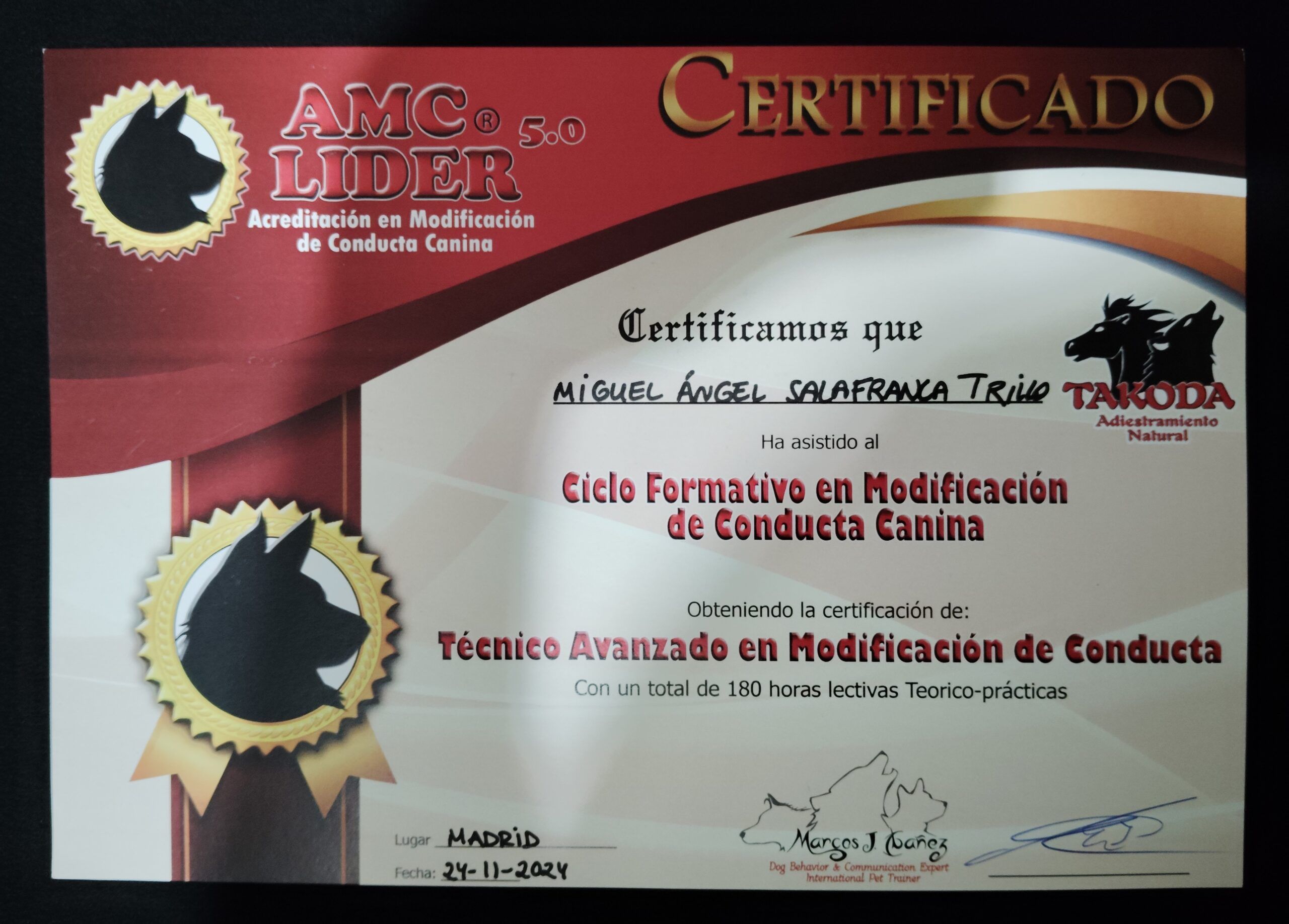 Imagen del certificado de Técnico avanzado en modificación de conducta