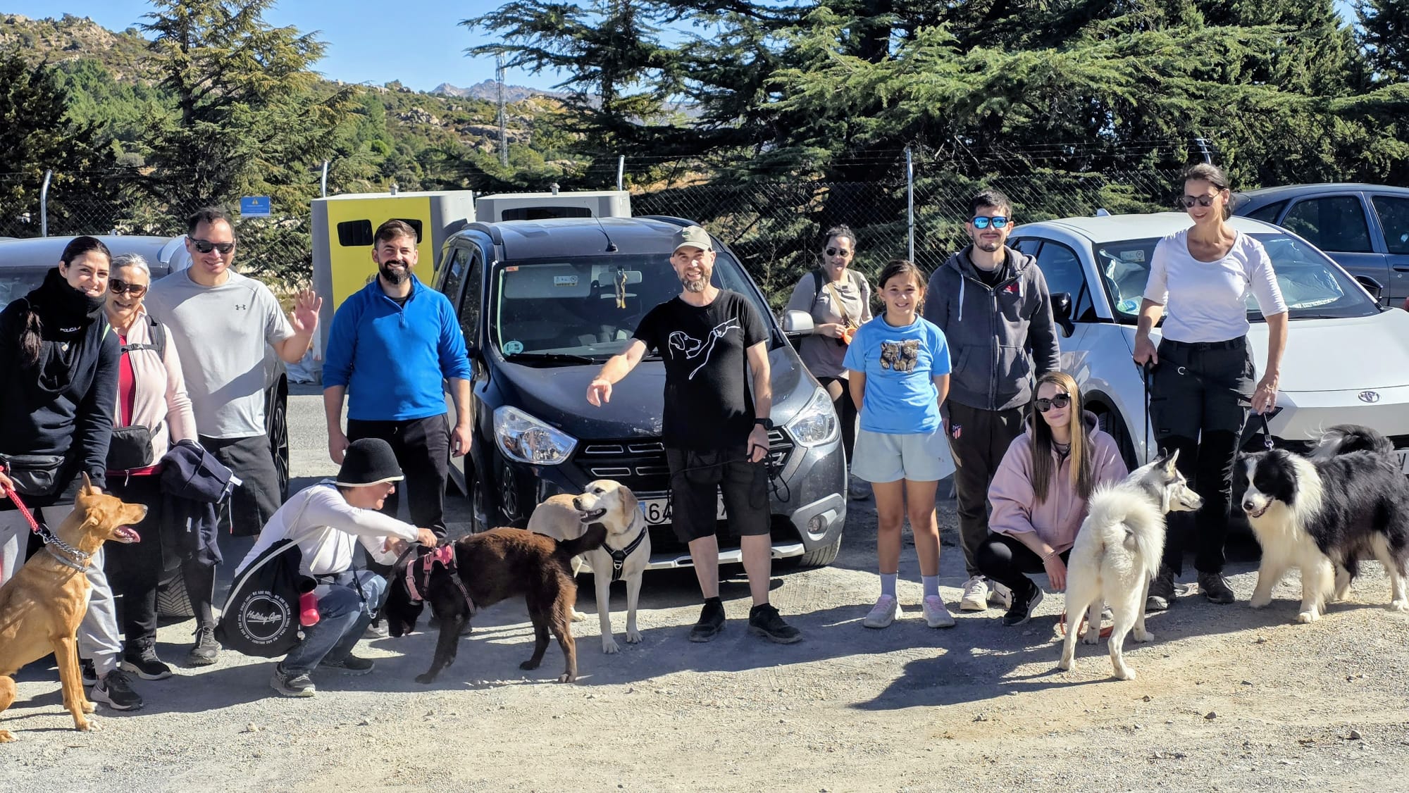 Domingos caninos 2