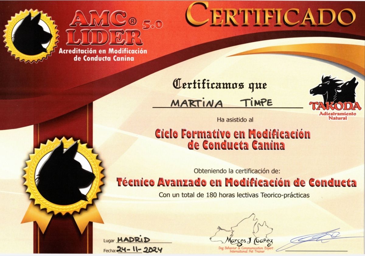 Diploma AMC-Líder de Martina Timpe