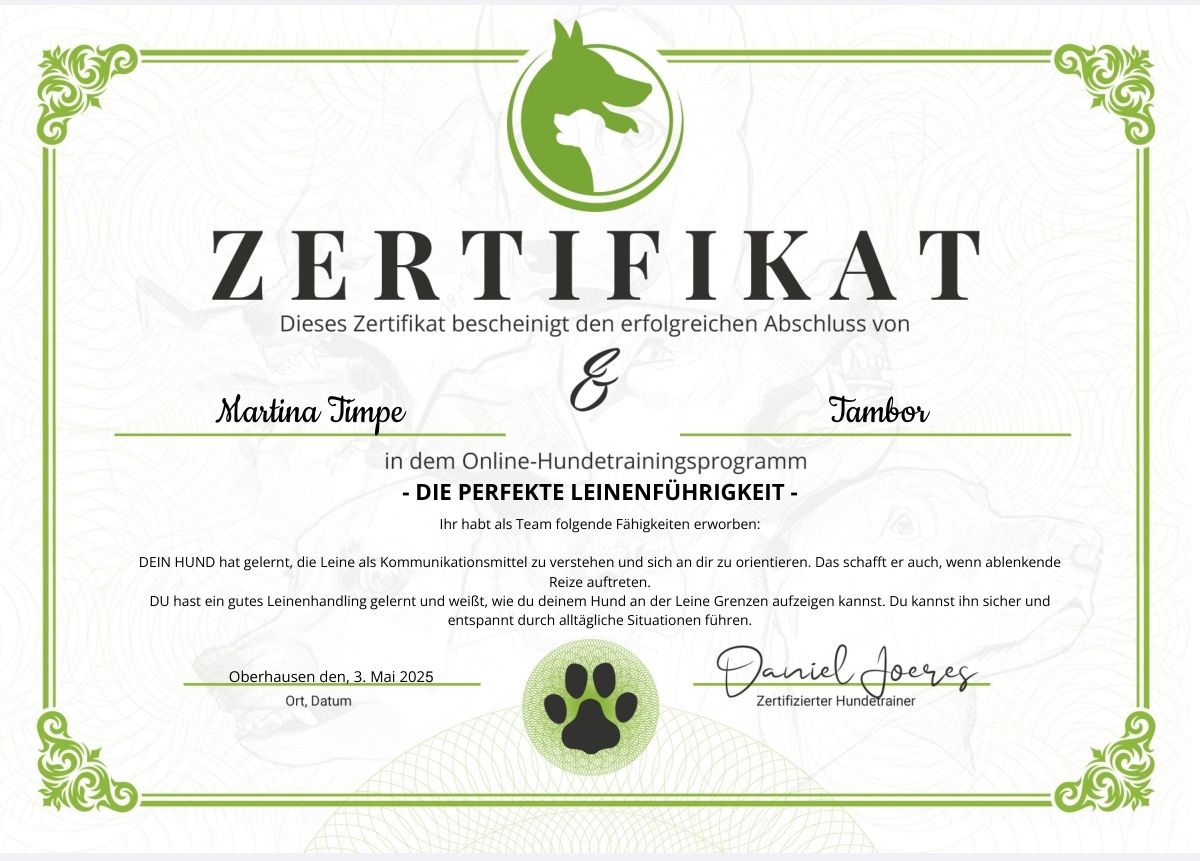 Diploma Die perfekte leinenfuhrigkeit de Martina Timpe.