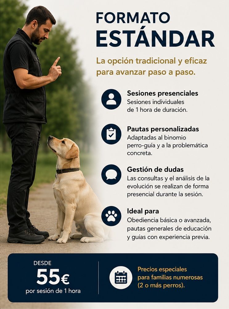 Formato Estándar del Método Ragnar