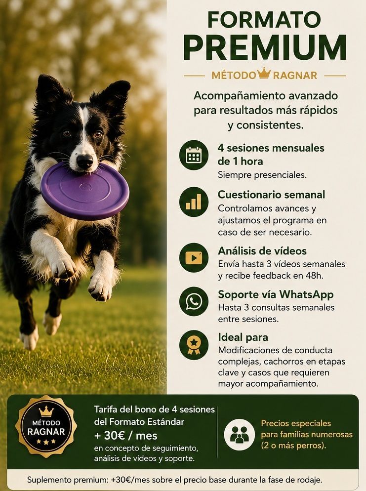 Formato Premium del Método Ragnar